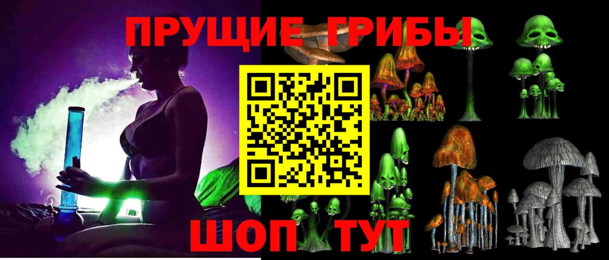 Псилоцибиновые грибы Magic Shrooms Северобайкальск