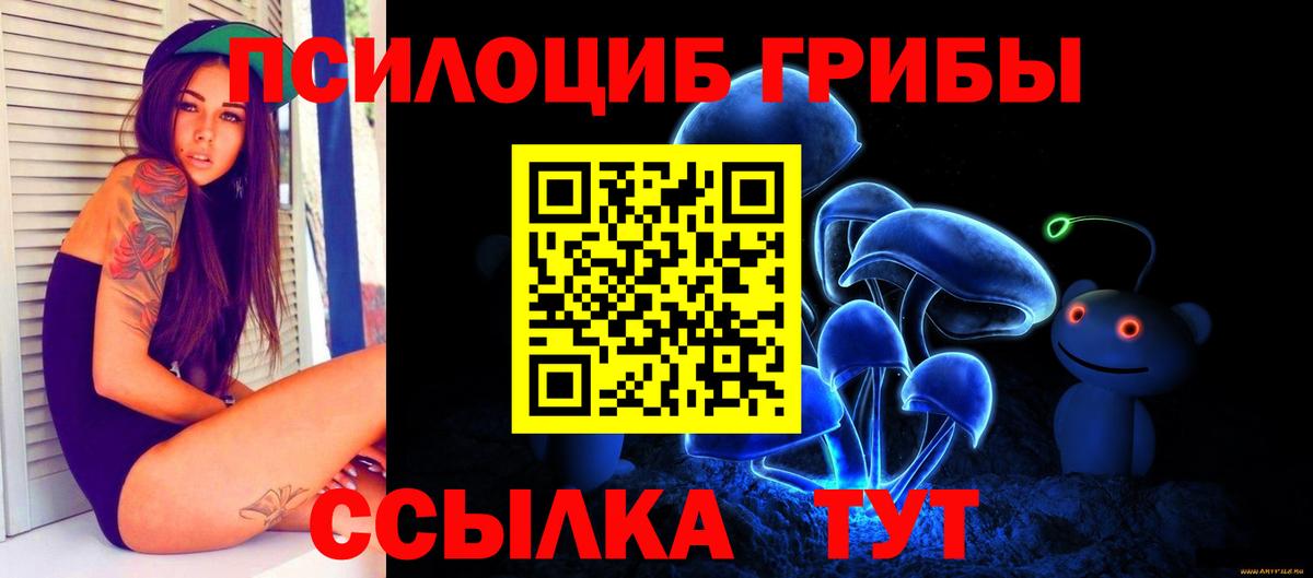 Псилоцибиновые грибы Psilocybine cubensis  Вход с VPN  Северобайкальск 